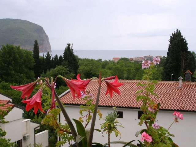Отель Hotel Wellness & Spa Angelo Gabriel Петровац-55